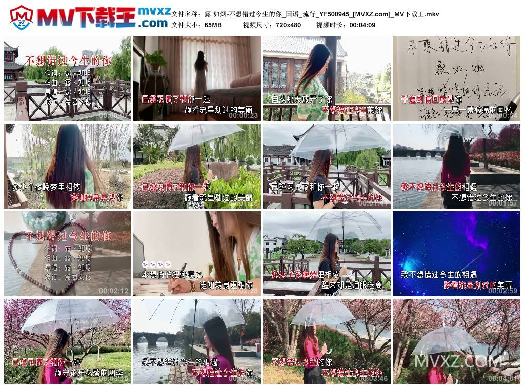 露 如烟-不想错过今生的你_国语_流行_YF500945